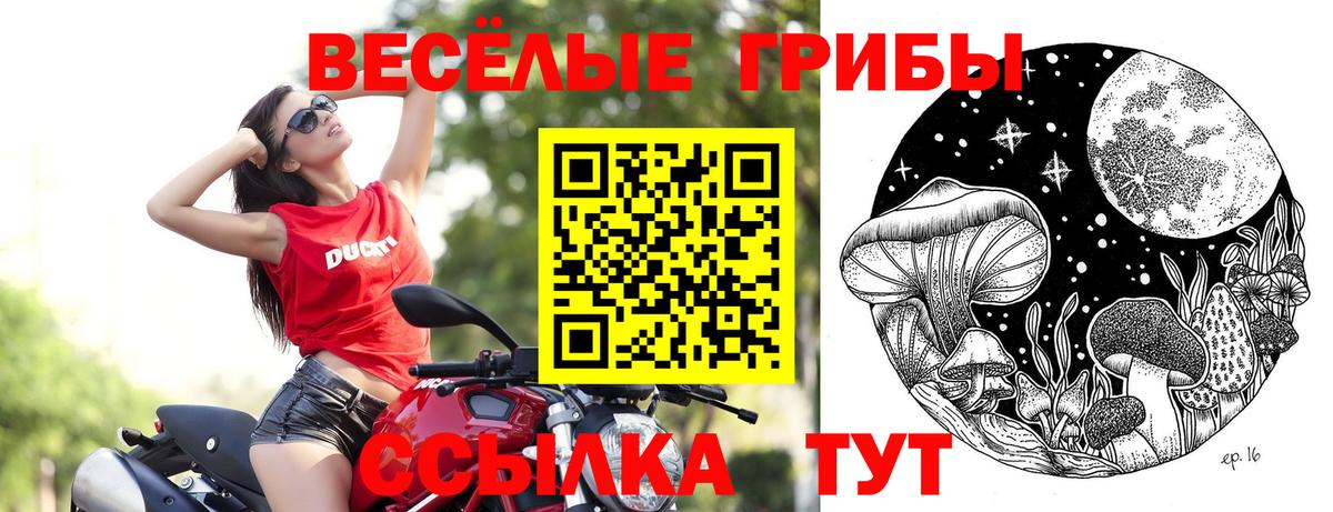Галлюциногенные грибы GOLDEN TEACHER Удомля