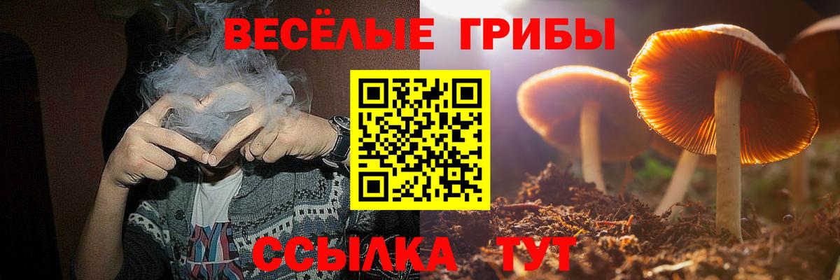 Псилоцибиновые грибы Cubensis  Галлюциногенные грибы Psilocybine cubensis  Вход с VPN  где можно купить наркотик  Удомля 